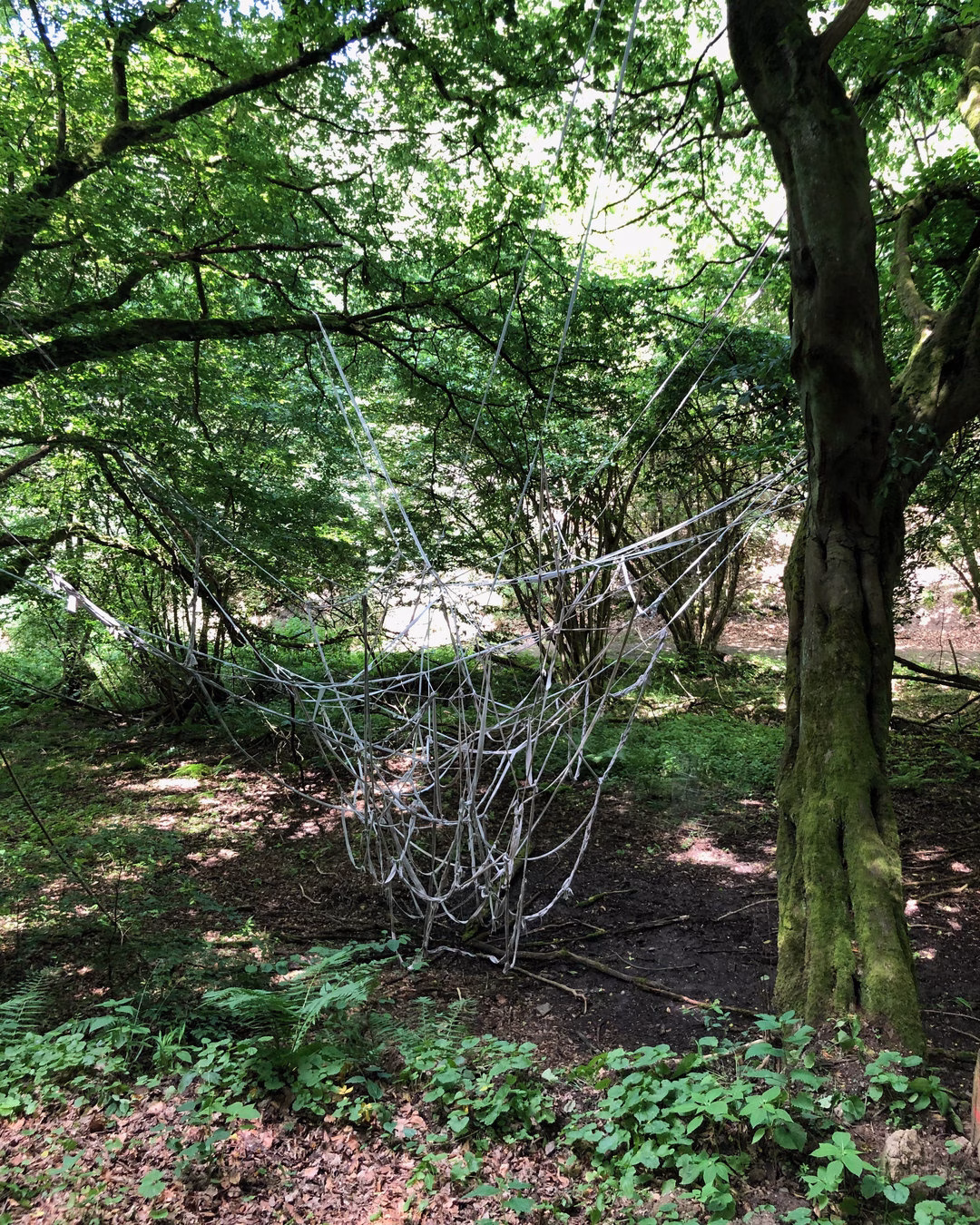 Tonia Fee Grass – Kokon in der Wildschweinsule