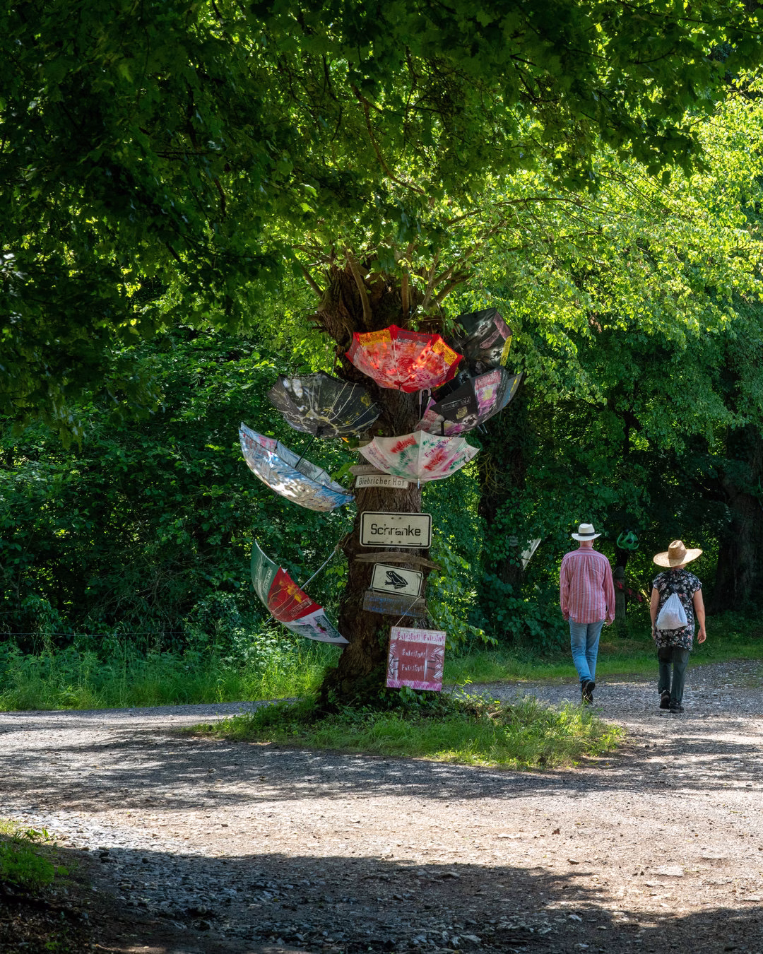 David Hardy – Forestival Eingang 2021